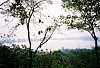 0010336-R1-010-3A.jpg