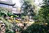 0010336-R1-030-13A.jpg