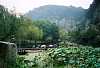 0010336-R3-018-7A.jpg